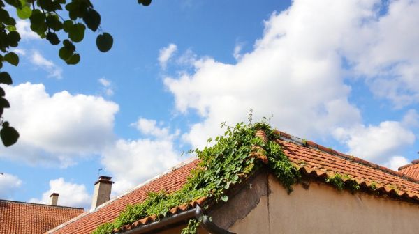 Top 5 conseils pour sélectionner un bon couvreur dans l'Ain